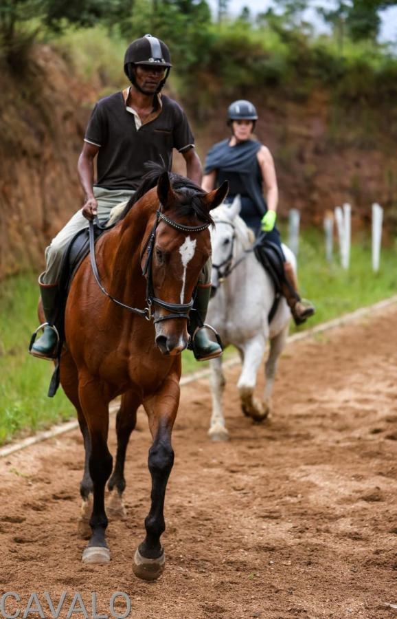 Cavalo Guesthouse & Equestrian Estate Drummond Экстерьер фото