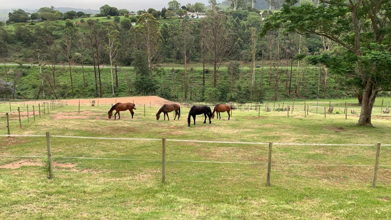 Cavalo Guesthouse & Equestrian Estate Drummond Экстерьер фото