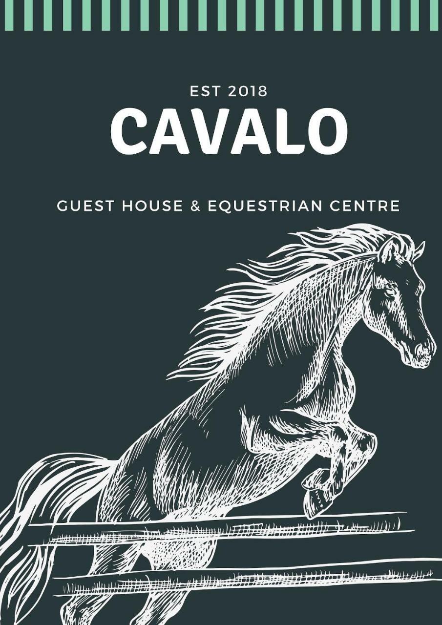 Cavalo Guesthouse & Equestrian Estate Drummond Экстерьер фото