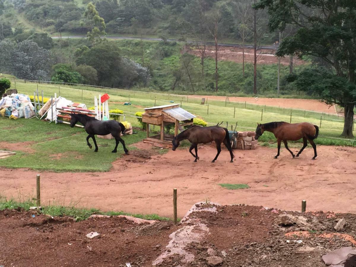 Cavalo Guesthouse & Equestrian Estate Drummond Экстерьер фото